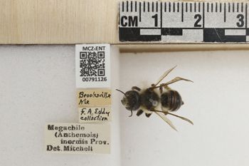Media type: image;   Entomology 791126 Aspect: Labels